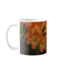 Orange Amaryllis Mugs