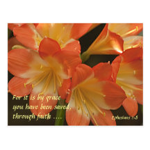 Orange Amaryllis Post Card