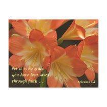 Orange Amaryllis Post Card