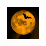 Orange and Black Halloween T Shirt