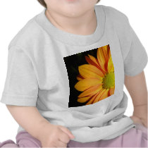 Orange and Black t-shirts
