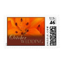 Orange and brown tiger lily for October postage by perfectpostage Orange and brown tiger lily for October postage