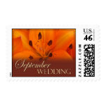 Orange and brown tiger lily for September Postage