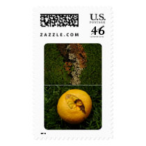 Orange and Bush. postage