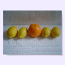 Orange and Lemons posters
