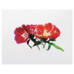 Orange and Magenta Evening Primroses Customized Letterhead