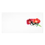 Orange and Magenta Evening Primroses Photo Cards