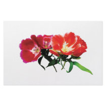 Orange and Magenta Evening Primroses Stationery