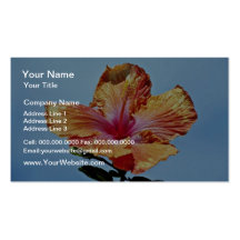 Orange and pink flower, hybrid hibiscus  flowers business card template