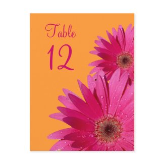 Orange and Pink Gerbera Daisy Table Number Card postcard