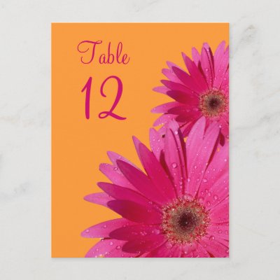 Orange and Pink Gerbera Daisy Table Number Card Post Card