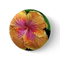 Orange and pink hibiscus buttons