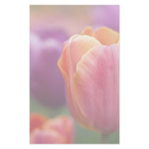 Orange and Pink Late Tulip Stationery Paper