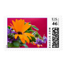 Orange And Purple Theme Flower Postage postage