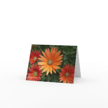 Orange and Red Gerberas Card cards