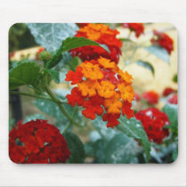Orange and Red Lantana mousepads by princessklb07 Orange and Red Lantana mousepads