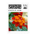 Orange and Red Lantana postage by princessklb07 Orange and Red Lantana postage