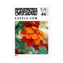 Orange and Red Lantana postage by princessklb07 Orange and Red Lantana postage