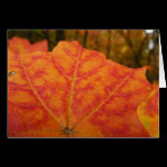 Orange and Red Maple Leaf Card