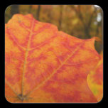 Orange and Red Maple Leaf Sticker