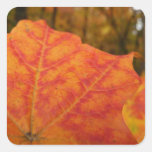 Orange and Red Maple Leaf Sticker