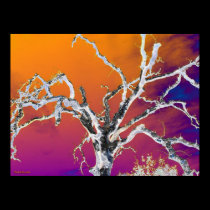 orange and red tree posters