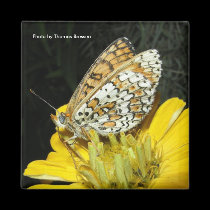 Orange and White Butterfly Magnet by Rajee1 Orange and White Butterfly Magnet