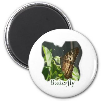 Orange and White Butterfly with text Photograph magnet