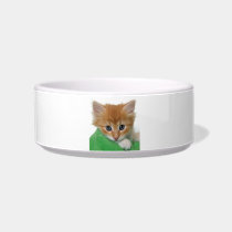 Orange and White Kitten Cat Pet Bowl Cat Water Bowl