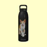 Orange and White Kitty Cat Water Bottle water bottles