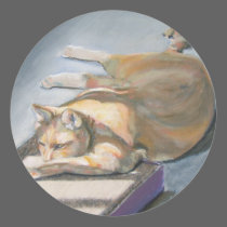 Orange and White Tabby in the Sun Sticker stickers