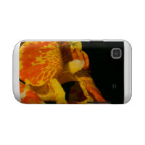 Orange and Yellow Canna Lily photo Samsung Galaxy