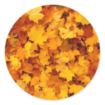Orange and Yellow Fall Leaves Sticker