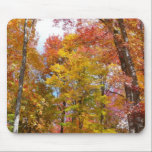 Orange and Yellow Fall Trees Mousepad