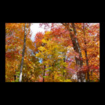 Orange and Yellow Fall Trees Print