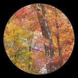Orange and Yellow Fall Trees Sticker