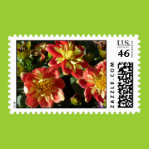 Orange and yellow flowers stamps