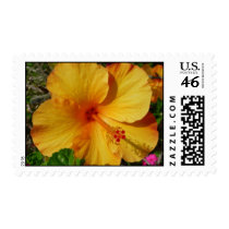 Orange and Yellow Hibiscus postage by bluehawaii218 Orange and Yellow Hibiscus postage