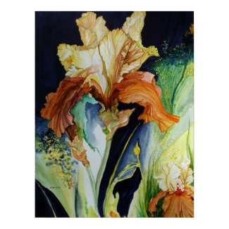 Orange and Yellow Iris Poster