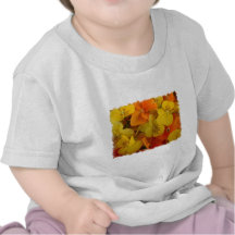 Orange and Yellow Johnny Jump Up Baby T-Shirt