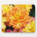 Orange and Yellow Mum mousepads by princessklb07 Orange and Yellow Mum mousepads