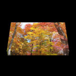 Orange and Yellow Trees Wrapped Canvas