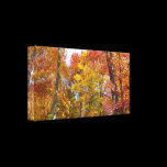 Orange and Yellow Trees Wrapped Canvas