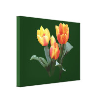 Orange and Yellow Tulips canvas prints