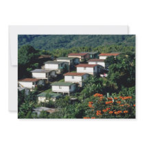 Orange Attractive plantation homes flowers Announcements