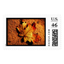 Orange Autumn Leaf Postage Stamp