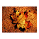 Orange Autumn Leaf Poster posters by WanderLinArts Orange Autumn Leaf Poster posters