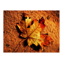 Orange Autumn Leaf Poster posters