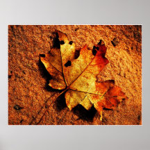 Orange Autumn Leaf Poster