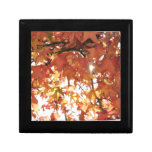Orange autumn leafs with hard sun keepsake box